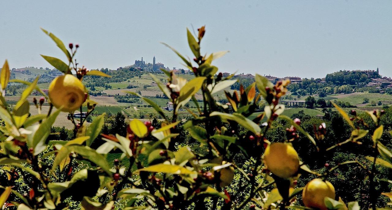 B&B Carletto Cella Monte Extérieur photo